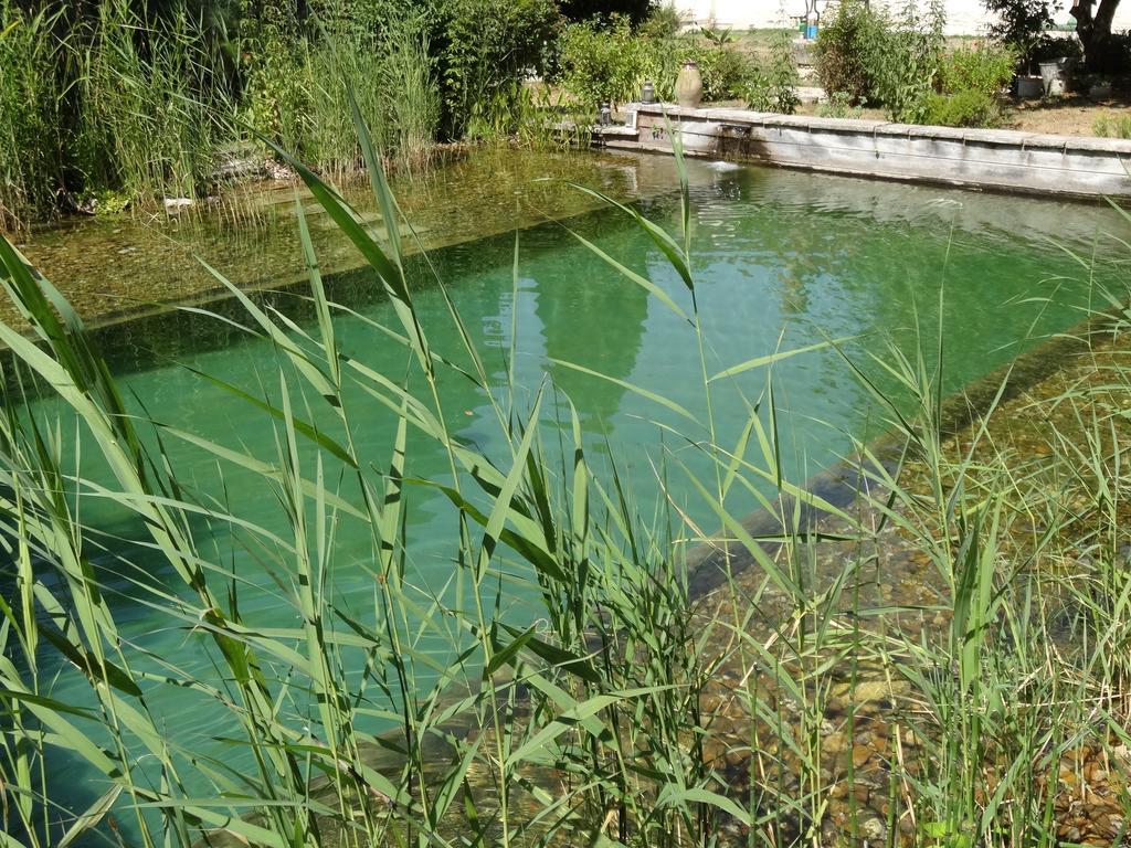 Jardin De Canaan Saint-Julien-de-Chédon Exterior foto